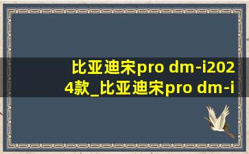 比亚迪宋pro dm-i2024款_比亚迪宋pro dm-i2024款时间